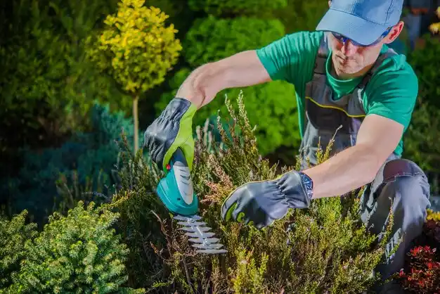 landscaping services Centerburg
